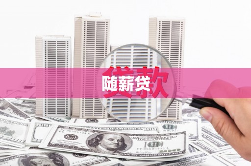 贡井随薪贷