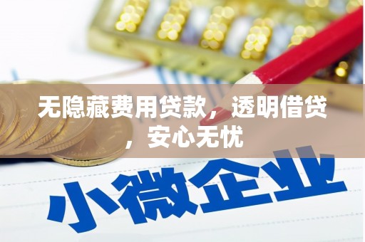 贡井无隐藏费用贷款，透明借贷，安心无忧