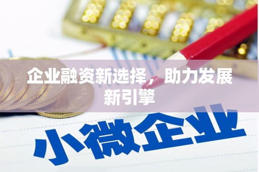 贡井企业融资新选择，助力发展新引擎