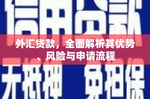 贡井外汇贷款，全面解析其优势、风险与申请流程
