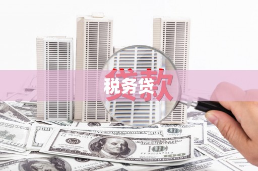 贡井税务贷