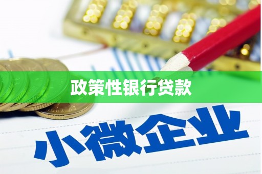 贡井政策性银行贷款