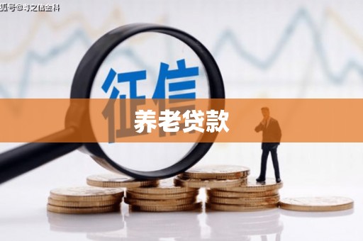 贡井养老贷款