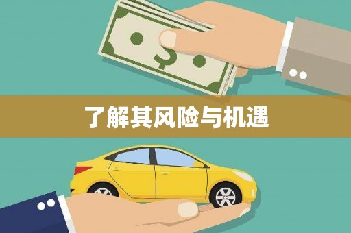 贡井了解其风险与机遇