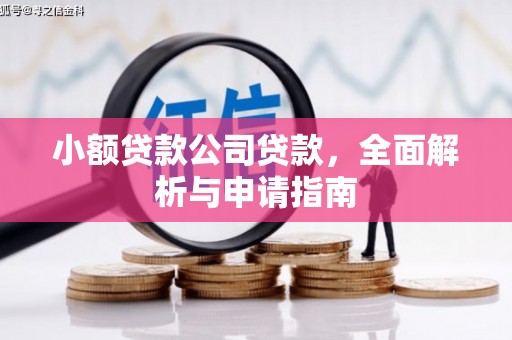 贡井小额贷款公司贷款，全面解析与申请指南