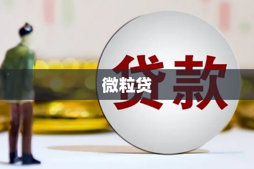 贡井微粒贷