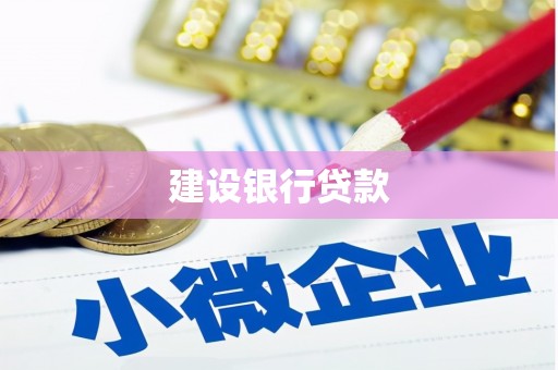 贡井建设银行贷款