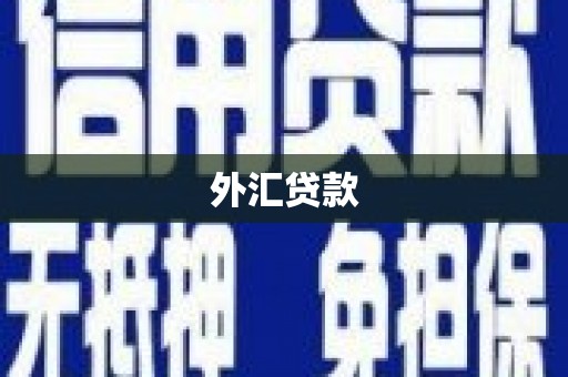 贡井外汇贷款