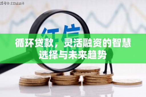 贡井循环贷款，灵活融资的智慧选择与未来趋势