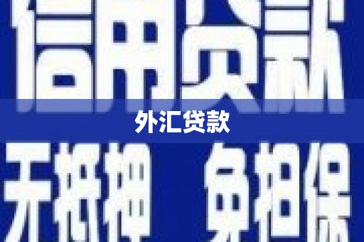 贡井外汇贷款