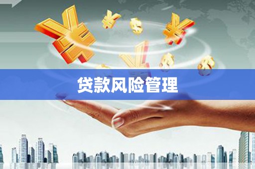 贡井贷款风险管理