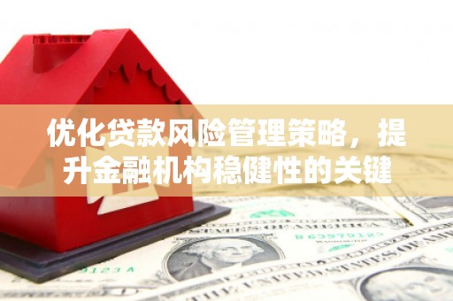贡井优化贷款风险管理策略，提升金融机构稳健性的关键