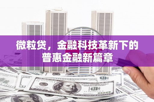 贡井微粒贷，金融科技革新下的普惠金融新篇章