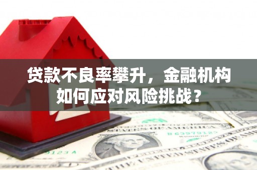 贡井贷款不良率攀升，金融机构如何应对风险挑战？