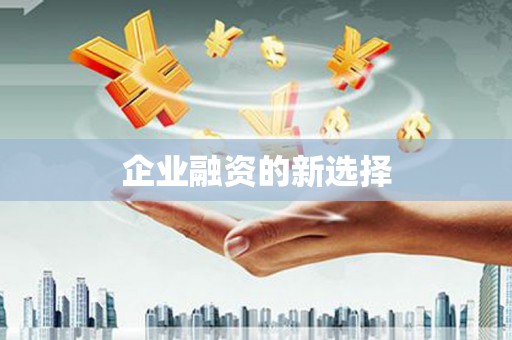 贡井企业融资的新选择
