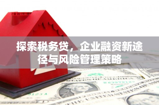 贡井探索税务贷，企业融资新途径与风险管理策略