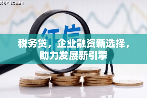 贡井税务贷，企业融资新选择，助力发展新引擎