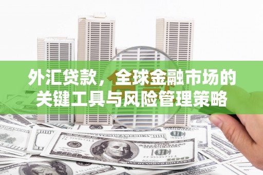 贡井外汇贷款，全球金融市场的关键工具与风险管理策略