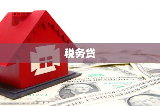贡井税务贷