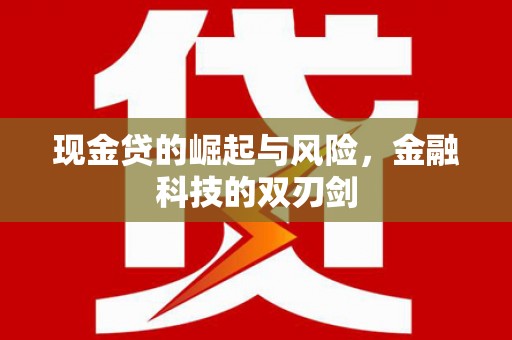 贡井现金贷的崛起与风险，金融科技的双刃剑