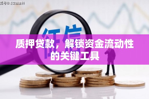 贡井质押贷款，解锁资金流动性的关键工具