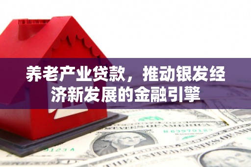贡井养老产业贷款，推动银发经济新发展的金融引擎