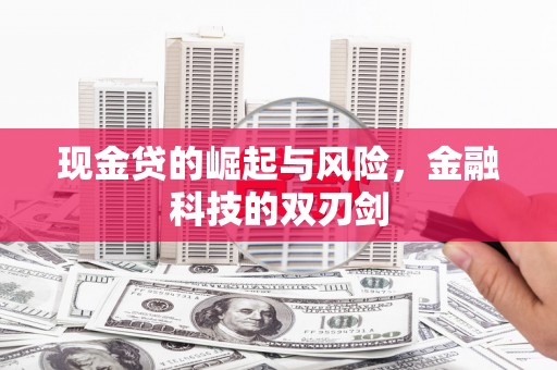 贡井现金贷的崛起与风险，金融科技的双刃剑