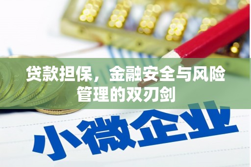 贡井贷款担保，金融安全与风险管理的双刃剑