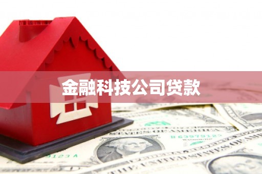 贡井金融科技公司贷款