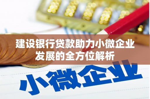 贡井建设银行贷款助力小微企业发展的全方位解析