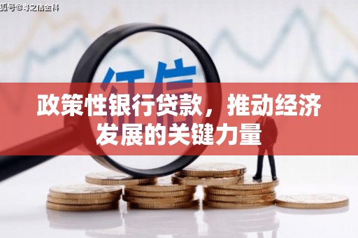 贡井政策性银行贷款，推动经济发展的关键力量