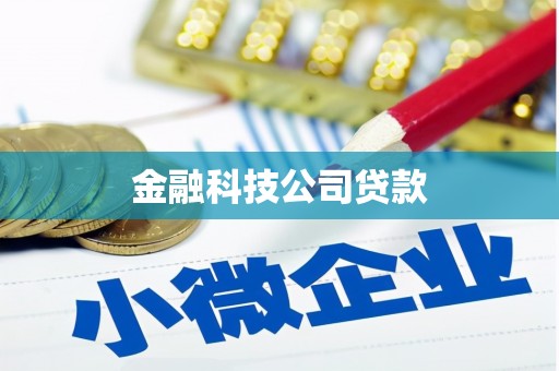 贡井金融科技公司贷款