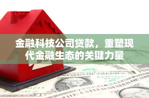 贡井金融科技公司贷款，重塑现代金融生态的关键力量