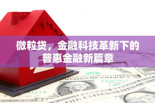 贡井微粒贷，金融科技革新下的普惠金融新篇章