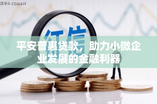 贡井平安普惠贷款，助力小微企业发展的金融利器