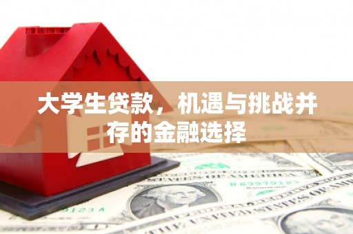 贡井大学生贷款，机遇与挑战并存的金融选择