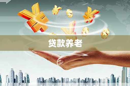贡井贷款养老