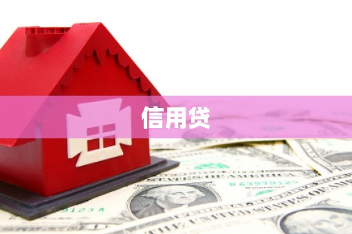 贡井信用贷