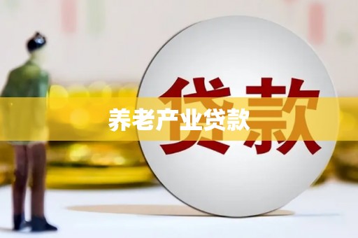 贡井养老产业贷款