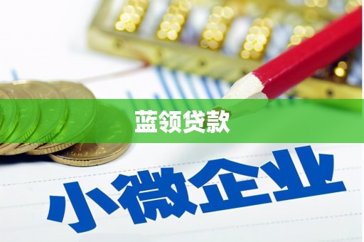 贡井蓝领贷款