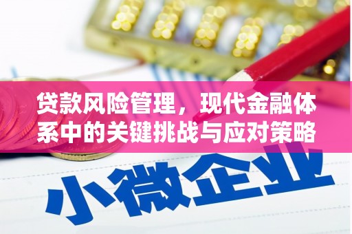 贡井贷款风险管理，现代金融体系中的关键挑战与应对策略
