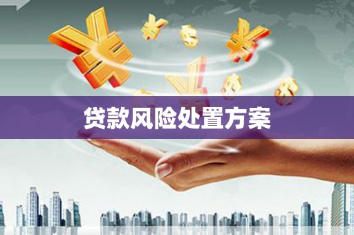 贡井贷款风险处置方案