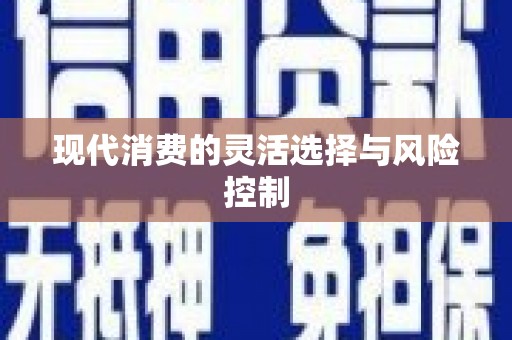 贡井现代消费的灵活选择与风险控制