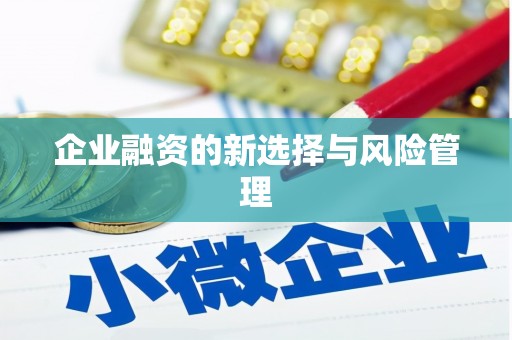 贡井企业融资的新选择与风险管理