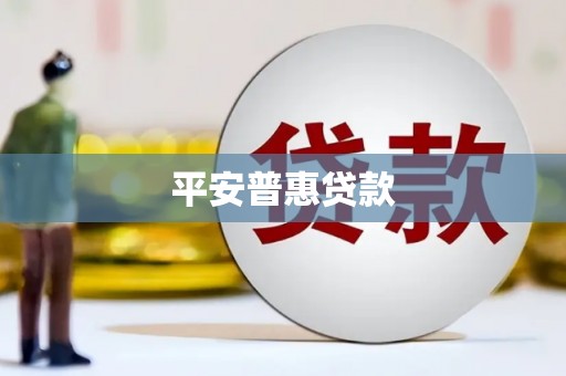 贡井平安普惠贷款